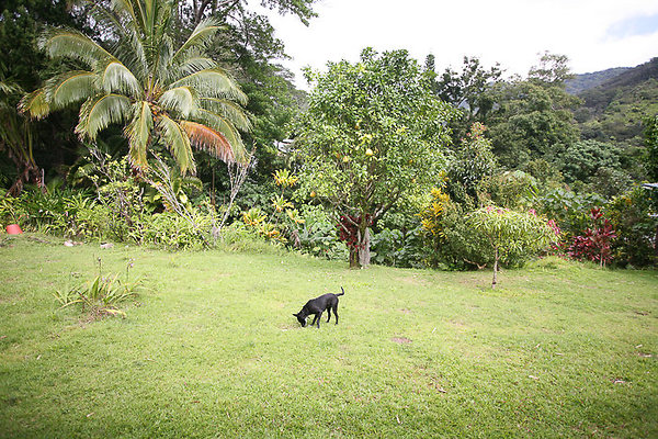 EP419 JaimeKamaka-111