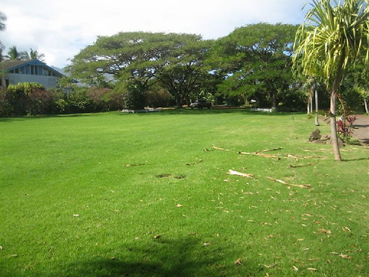 North Shore Rand (27)