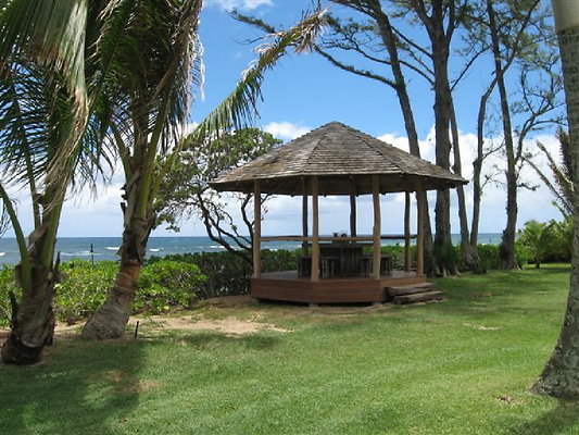 Pietsch Crozier (48)