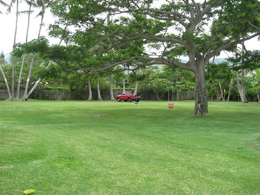 Pietsch Crozier (19)