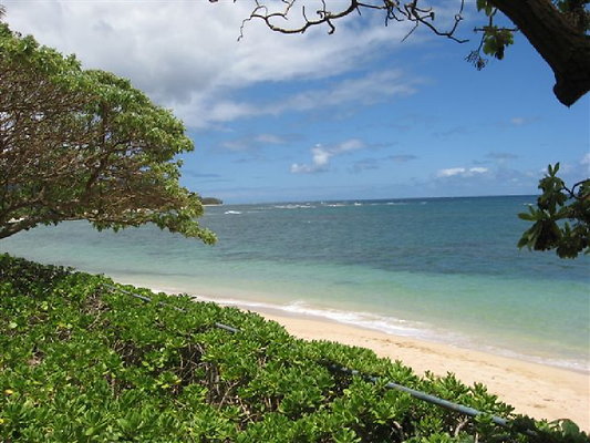 Pietsch Crozier (52)