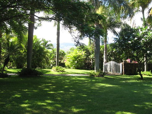 North Shore Plantation (47)