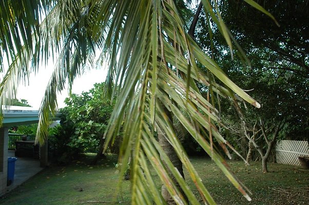 HI50 S5 HUIHUI DSC 3313