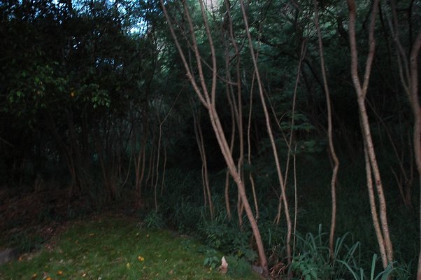 HI50 S5 HUIHUI DSC 3317