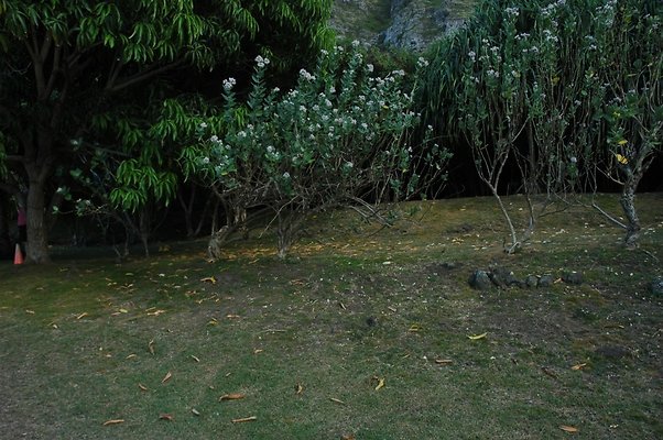 HI50 S5 HUIHUI DSC 3299