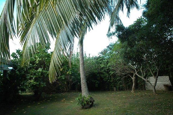 HI50 S5 HUIHUI DSC 3309