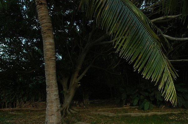 HI50 S5 HUIHUI DSC 3310