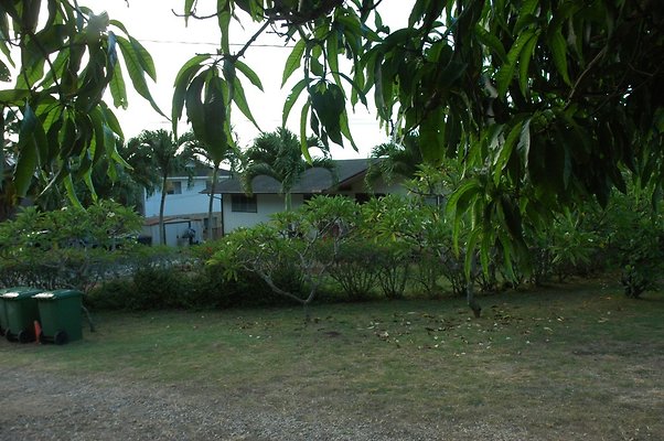 HI50 S5 HUIHUI DSC 3291