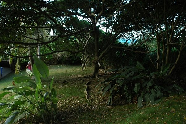 HI50 S5 HUIHUI DSC 3324