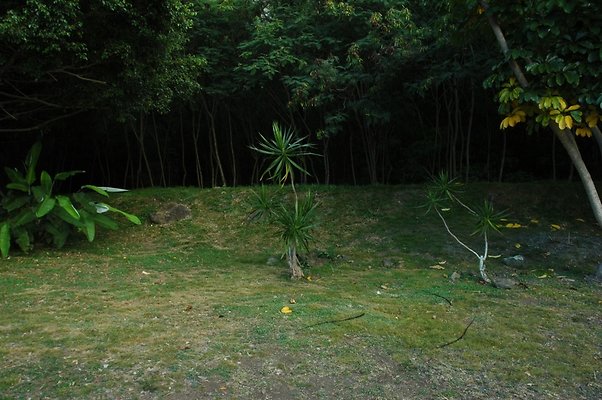 HI50 S5 HUIHUI DSC 3308