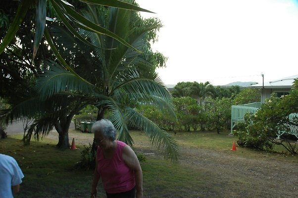 HI50 S5 HUIHUI DSC 3300