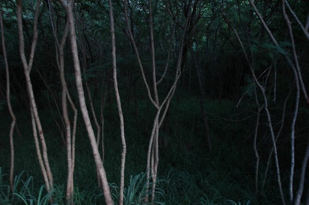 HI50 S5 HUIHUI DSC 3318