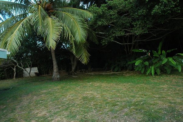 HI50 S5 HUIHUI DSC 3307