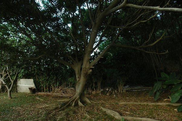 HI50 S5 HUIHUI DSC 3314