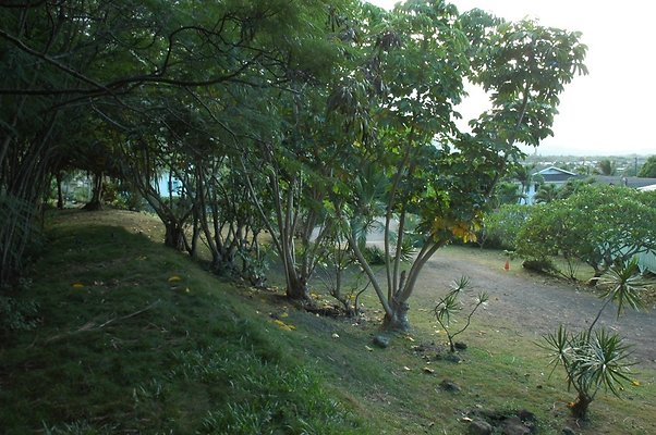 HI50 S5 HUIHUI DSC 3322