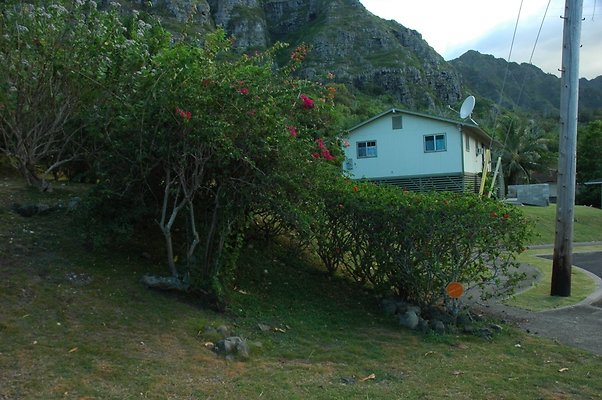 HI50 S5 HUIHUI DSC 3294