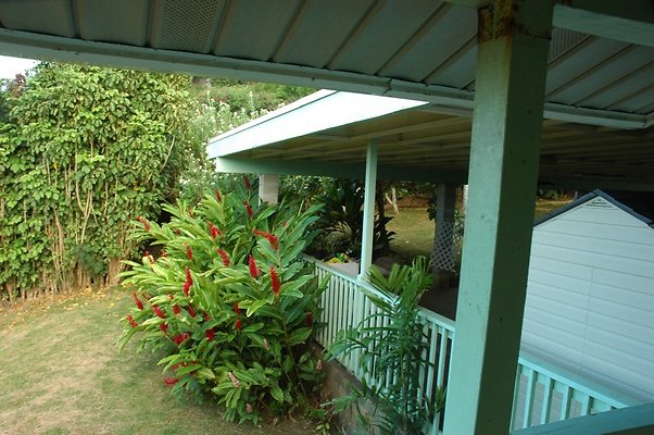 HI50 S5 HUIHUI DSC 3338