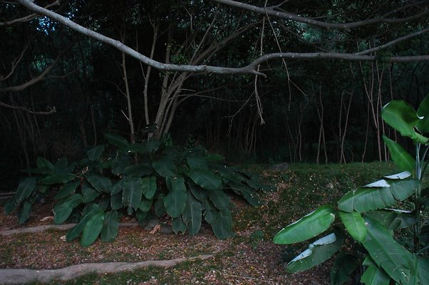 HI50 S5 HUIHUI DSC 3316