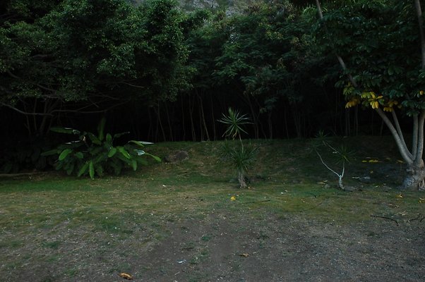 HI50 S5 HUIHUI DSC 3303