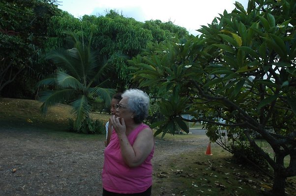 HI50 S5 HUIHUI DSC 3305