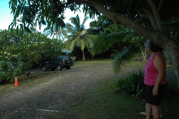 HI50 S5 HUIHUI DSC 3293