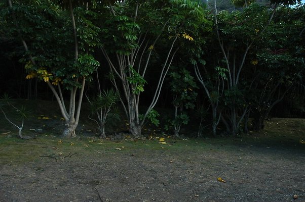 HI50 S5 HUIHUI DSC 3304