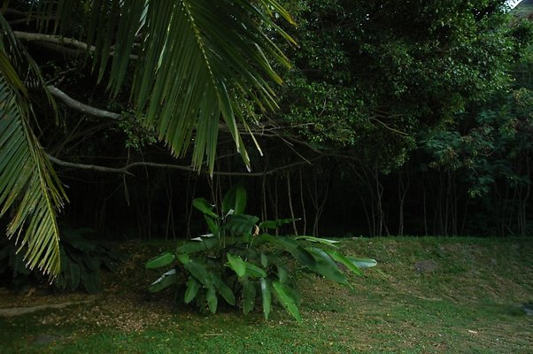 HI50 S5 HUIHUI DSC 3311