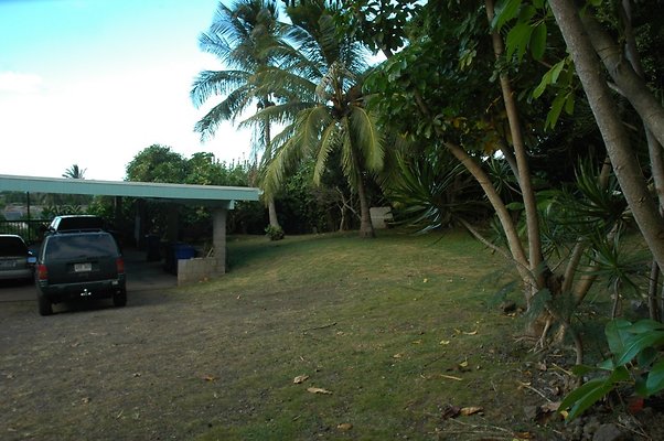 HI50 S5 HUIHUI DSC 3302