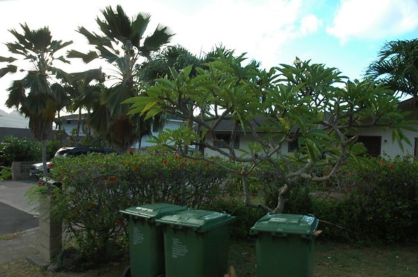 HI50 S5 HUIHUI DSC 3296