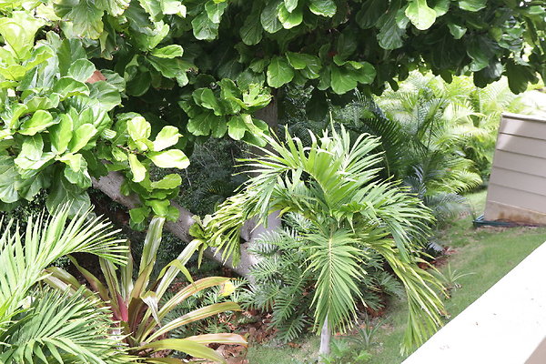 HawaiiKai 280PoipuDr (46 of 133)