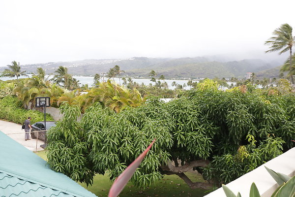 HawaiiKai 280PoipuDr (27 of 133)