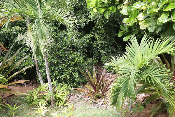 HawaiiKai 280PoipuDr (45 of 133)