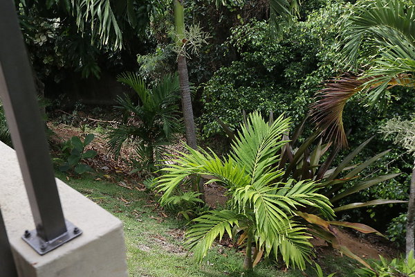 HawaiiKai 280PoipuDr (44 of 133)