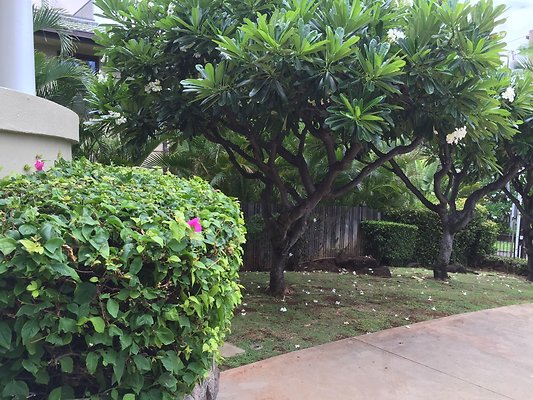 HI50 S6 2015-08-31 13.23.09