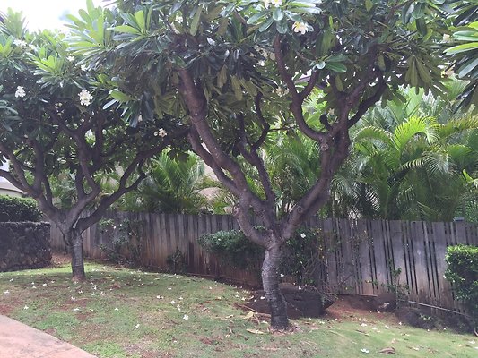 HI50 S6 2015-08-31 13.22.05