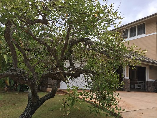 HI50 S6 2015-08-31 13.21.58