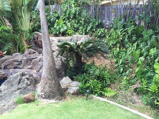 HI50 S6 2015-08-31 14.00.01