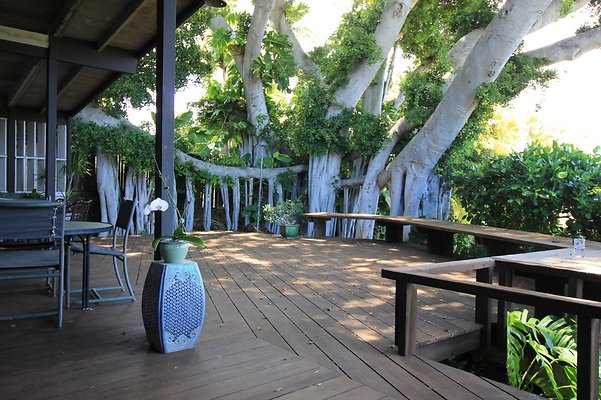 HI50 S5 Kaimuki Monsarrat tunnel IMG 5721