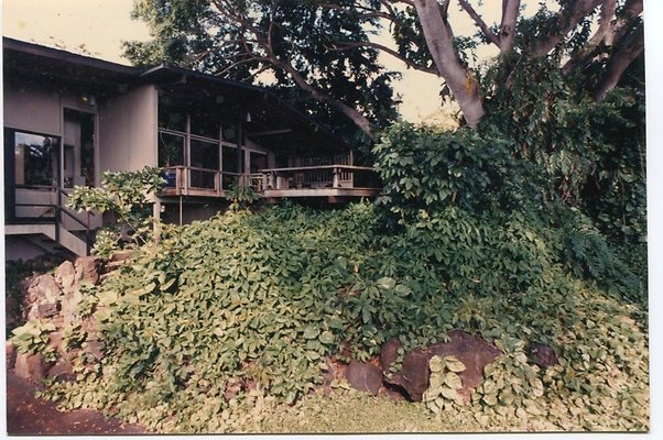 HI50 S5 Kaimuki Monsarrat tunnel Scan