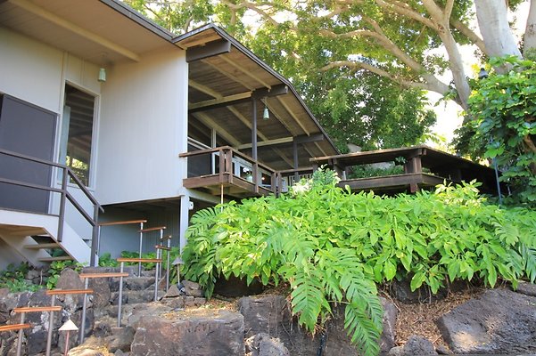 HI50 S5 Kaimuki Monsarrat tunnel IMG 5722