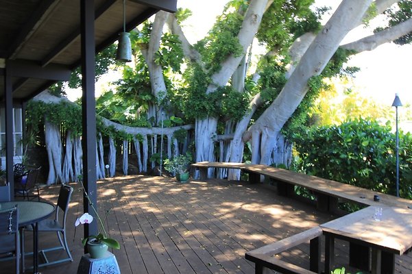 HI50 S5 Kaimuki Monsarrat tunnel IMG 5720