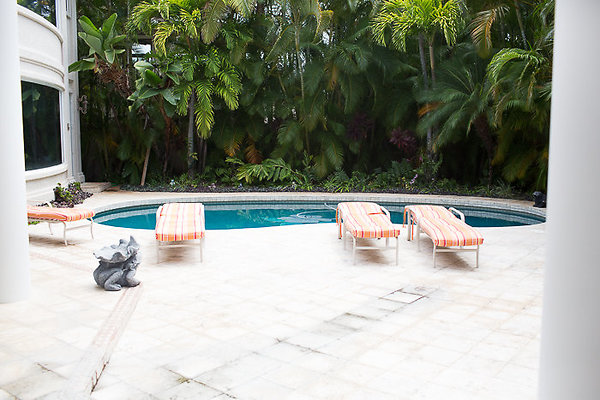 Kahala Dr.Steve Lerner-58