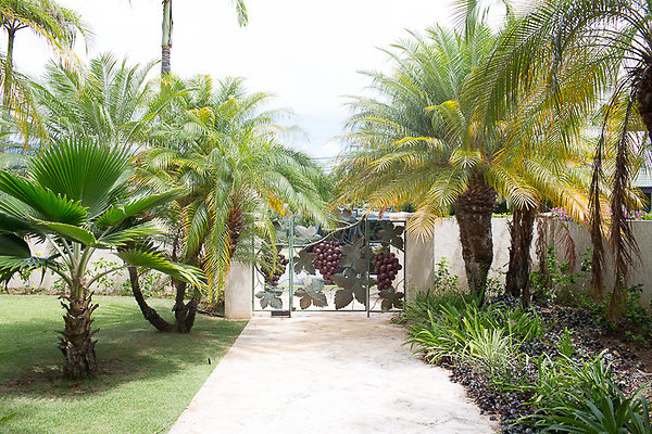 Kahala Dr.Steve Lerner-3