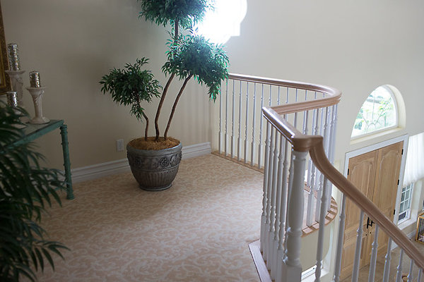 Kahala Dr.Steve Lerner-50