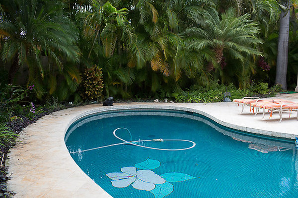 Kahala Dr.Steve Lerner-60