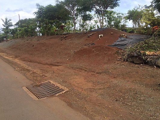 HI50 S5 Ken and Kelly Lee 4.09.23