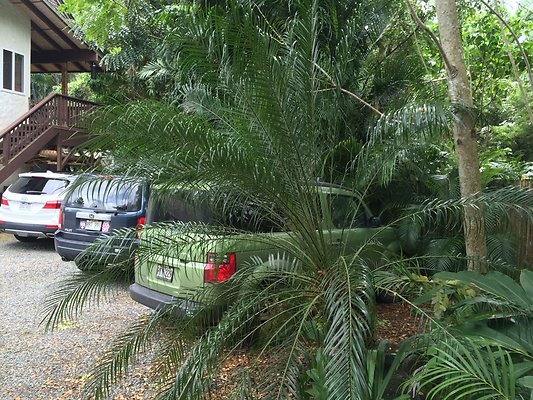 HI50 S5 Ken and Kelly Lee 3.39.52