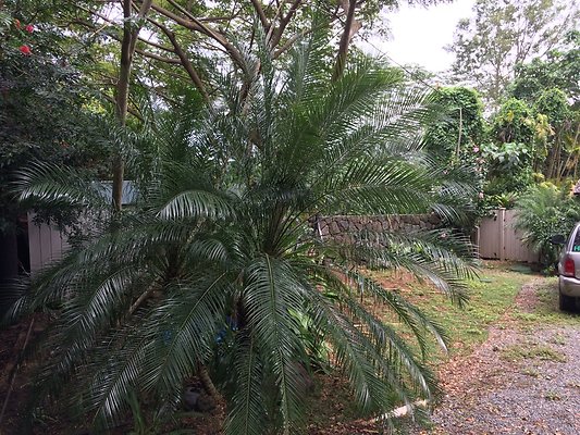 HI50 S5 Ken and Kelly Lee 3.39.45