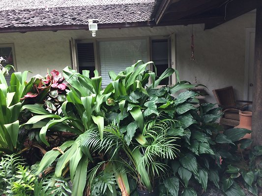 HI50 S5 Ken and Kelly Lee 3.41.42