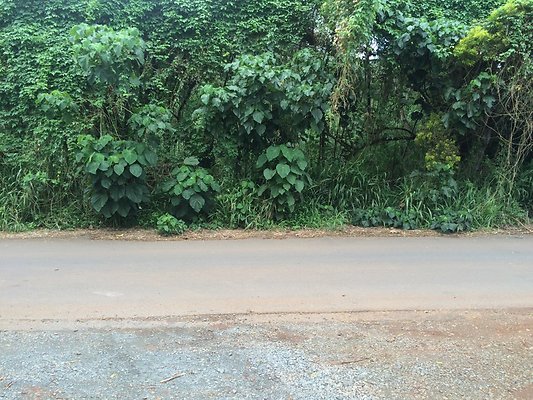 HI50 S5 Ken and Kelly Lee 4.09.48